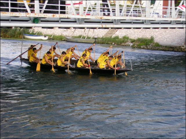 brzinska (10)